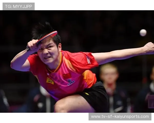 樊振东再度统治球台，全运冠军最大热门实锤了，樊振东精彩球集锦